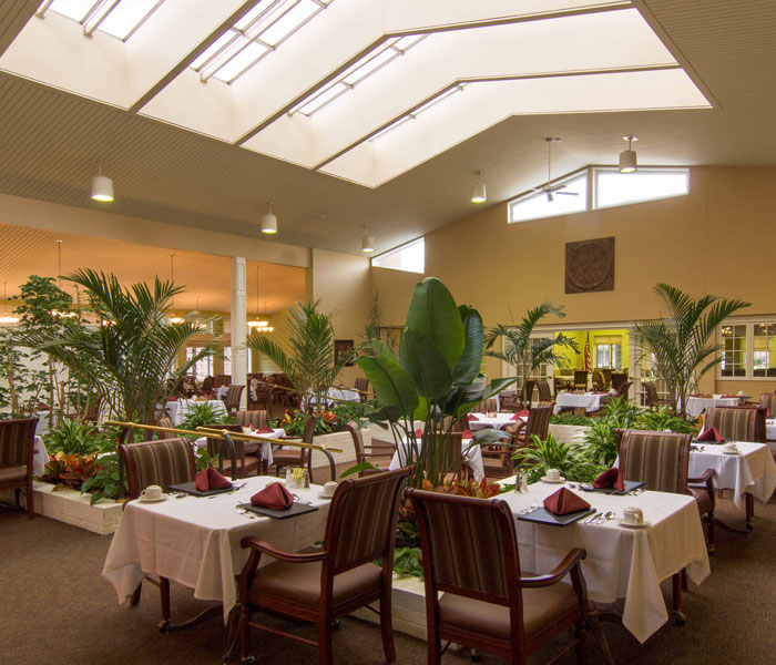 Spacious dining room with large plants