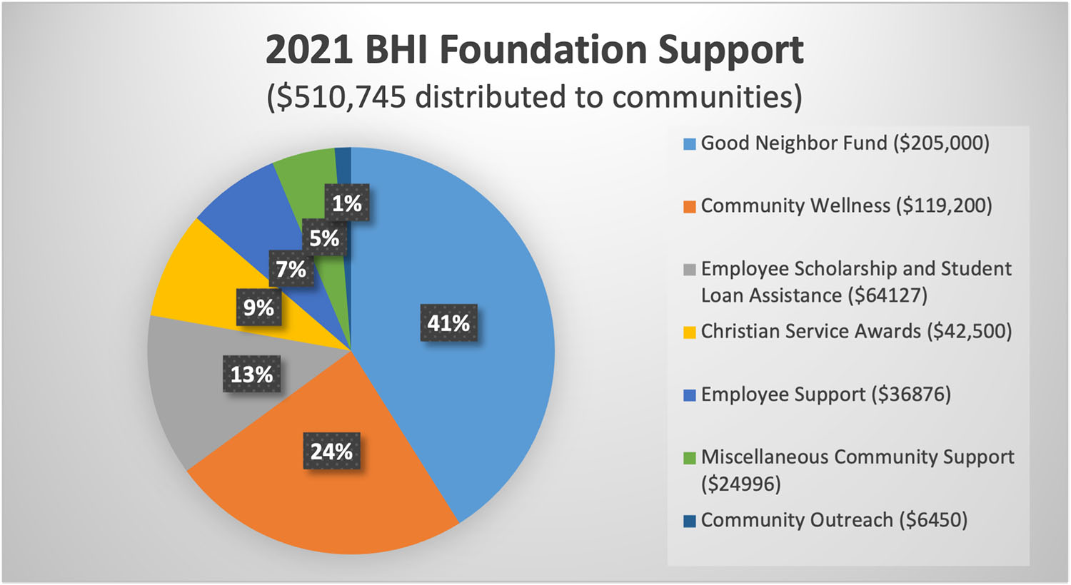 BHI Foundation 2021 distributions to the community (Pie Chart)