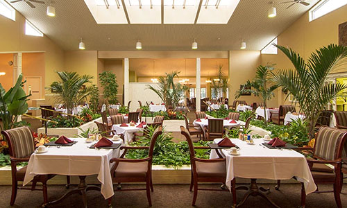 Plant filled dining room at Four Seasons